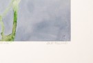 Geir Felling - Rites of Spring thumbnail